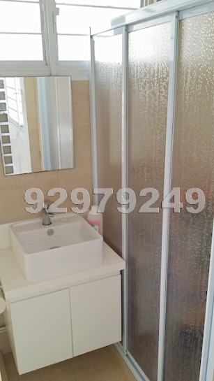 Blk 117 Clementi Street 13 (Clementi), HDB 4 Rooms #565102